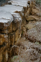 Icy garden wall