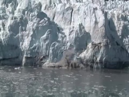 Video: Margerie glacier calving