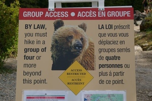 Caution: Bears