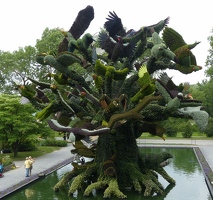 The Bird Tree