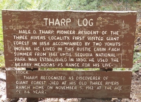 Information about Mr. Tharp