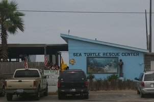 Sea Turtle Rescue Center