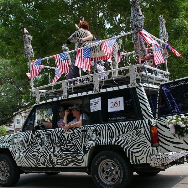Zebra for President