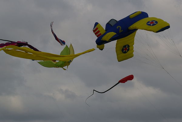 Big kites