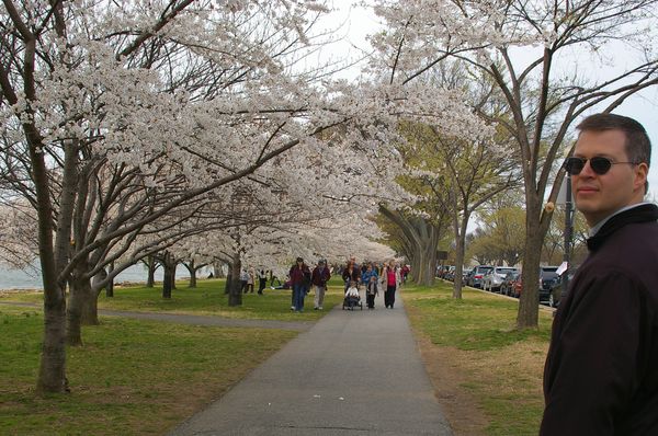 Kevin and cherry trees along Potomac