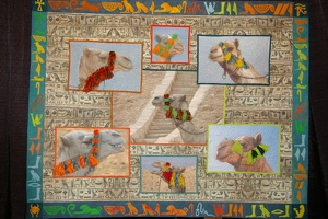 Cool Camels of Egypt by Barbara McKie