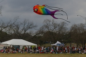 Rainbow fish kite