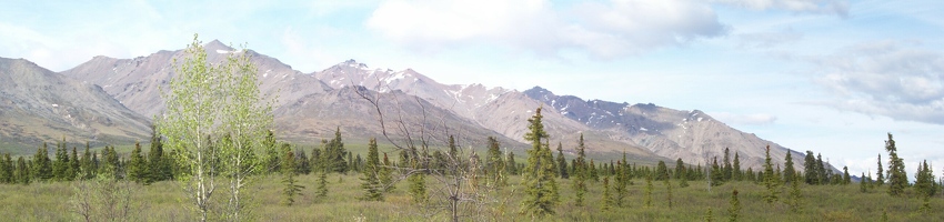 Denali panoramic park view