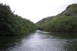 Wailua River tributary