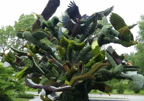 The Bird Tree