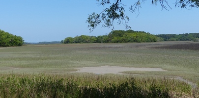 Marsh at refuge