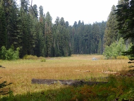 Crescent Meadow and Tharps Log