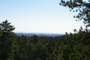 Landscape near Mt. Rushmore